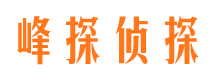 从化市调查公司